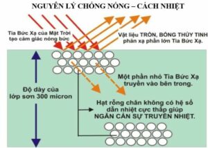 sơn chống nóng tôn